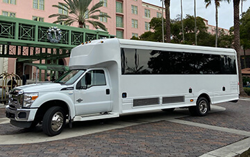 limousine service and party bus