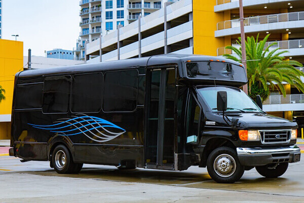 18-passenger party bus