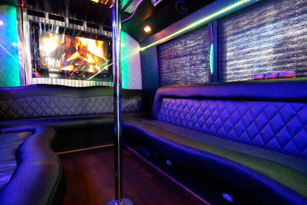 tv and dvd on bus