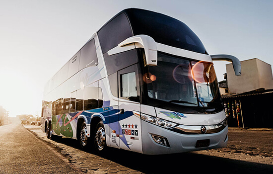 limousine service and party bus